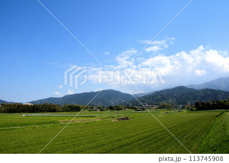 麦畑と空 糸島の農村の風景 麦畑と空 糸島の農村の風景 113745908