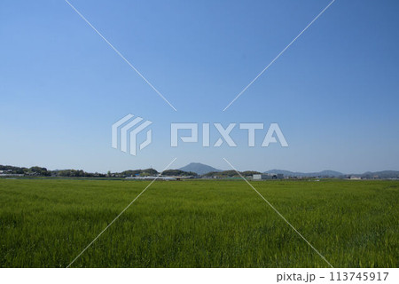 麦畑と空 糸島の農村の風景 麦畑と空 糸島の農村の風景 113745917