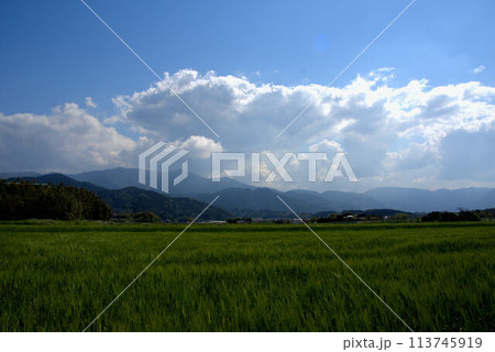 麦畑と空　糸島の農村の風景 113745919