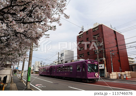 併用軌道を走行する京福電気鉄道嵐山本線の路面電車 併用軌道を走行する京福電気鉄道嵐山本線の路面電車 113746076