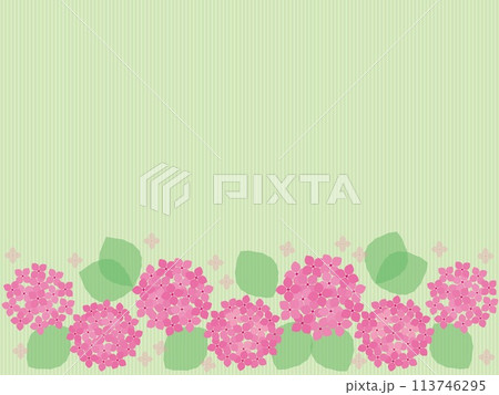 紫陽花　フレーム　ストライプ　ピンク 113746295