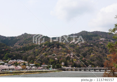 桜の季節の京都・嵐山と渡月橋 113746557