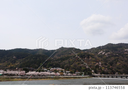 桜の季節の京都・嵐山と渡月橋 桜の季節の京都・嵐山と渡月橋 113746558