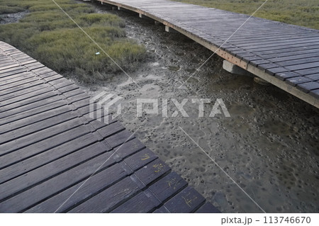 【台湾】高美湿地の木製の遊歩道 【台湾】高美湿地の木製の遊歩道 113746670