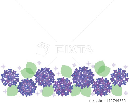 紫陽花　フレーム　紫色 113746823