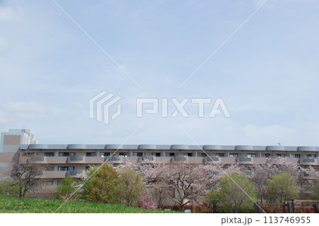 ぽかぽか公園 ぽかぽか公園 113746955