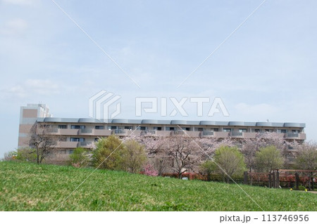 ぽかぽか公園 ぽかぽか公園 113746956