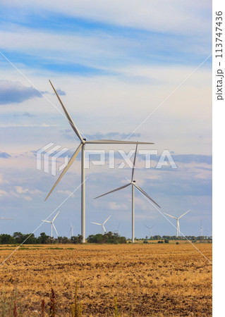 Wind turbines in a field. Renewable energy 113747436