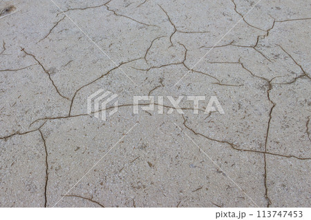 Natural salt crystal texture, macro, close-up. Salty lake background 113747453