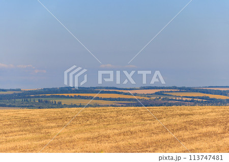 Summer landscape with agricultural fields, hills and blue sky 113747481