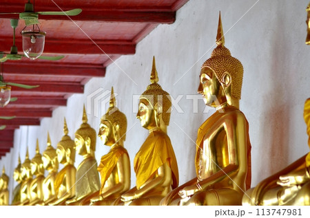 The image of the Golden Buddha images are in the meditation posture, they are very beautiful. The image of the Golden Buddha images are in the meditation posture, they are very beautiful. 113747981