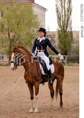 Dressage rider saluting on horseback in sandy arena 113748250