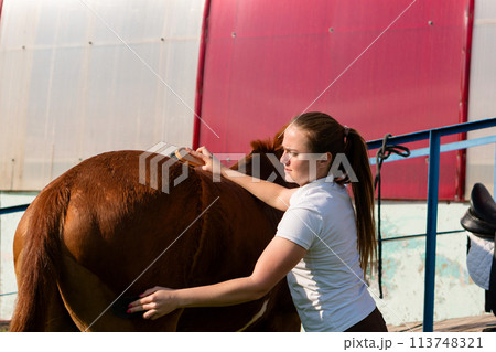 Woman polishing horse at sunset Woman polishing horse at sunset 113748321
