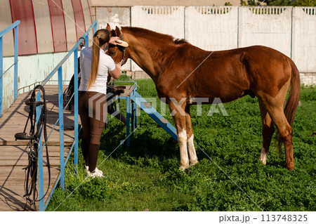 Woman brushing horse at barn entrance 113748325