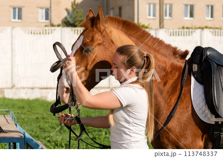 Equestrian adjusting bridle on horse Equestrian adjusting bridle on horse 113748337