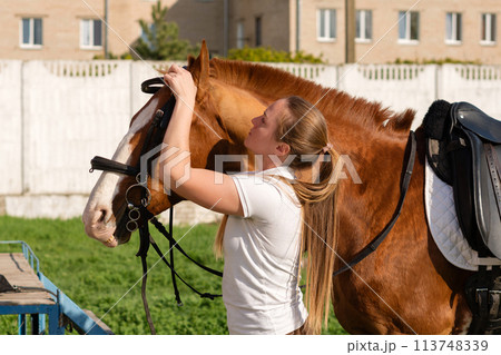 Equestrian adjusting bridle on horse Equestrian adjusting bridle on horse 113748339