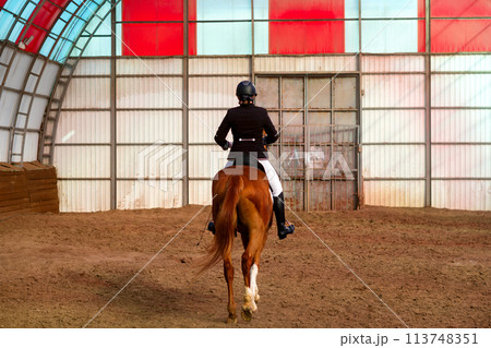 Rider on chestnut horse in riding arena 113748351