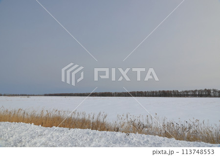 防風林が延々と続く浦幌町の大雪原の冬景色 防風林が延々と続く浦幌町の大雪原の冬景色 113748553