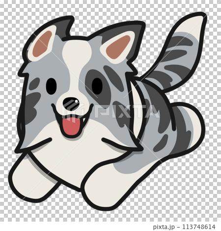 Running Border Collie (Blue Merle) Running Border Collie (Blue Merle) 113748614