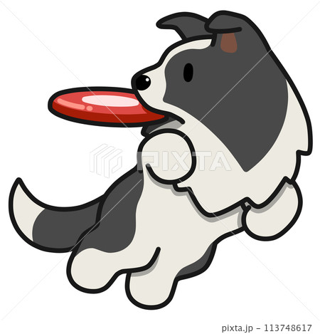 ディスクドッグのボーダーコリー(ブラックアンドホワイト) ディスクドッグのボーダーコリー(ブラックアンドホワイト) 113748617