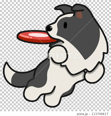 ディスクドッグのボーダーコリー(ブラックアンドホワイト) ディスクドッグのボーダーコリー(ブラックアンドホワイト) 113748617