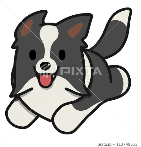 走るボーダーコリー(ブラックアンドホワイト) 113748618