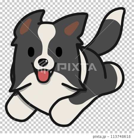 走るボーダーコリー(ブラックアンドホワイト) 113748618