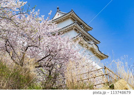 兵庫県明石市・桜が満開の明石城の櫓 兵庫県明石市・桜が満開の明石城の櫓 113748679