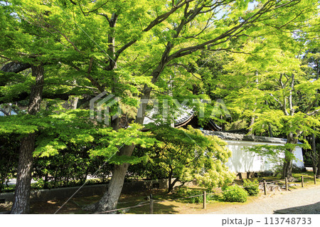 里山の古い民家(三溪園) 里山の古い民家(三溪園) 113748733