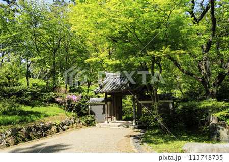 里山の古い民家(三溪園) 里山の古い民家(三溪園) 113748735