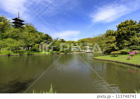 里山の古い民家(三溪園) 里山の古い民家(三溪園) 113748741