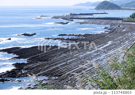 宮崎県_日南海岸_鬼の洗濯板 113748803