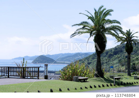 宮崎県_道の駅_フェニックス 宮崎県_道の駅_フェニックス 113748804