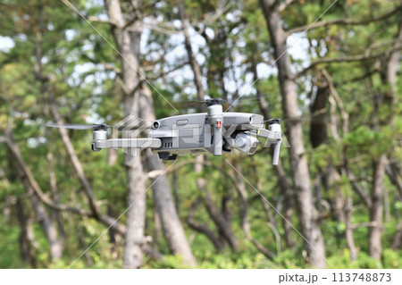 松林の中を飛ぶドローン 松林の中を飛ぶドローン 113748873