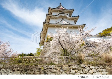 兵庫県明石市・桜が満開の明石城の櫓 113748908