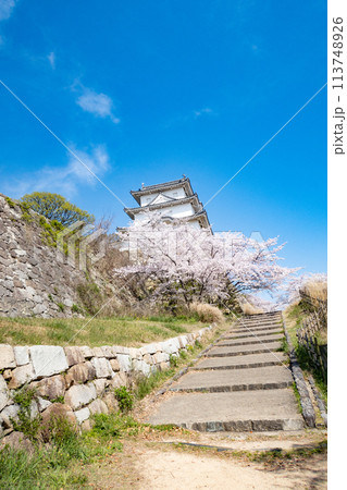 兵庫県明石市・桜が満開の明石城の櫓 113748926