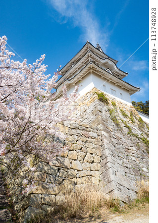 兵庫県明石市・桜が満開の明石城の櫓 兵庫県明石市・桜が満開の明石城の櫓 113748928