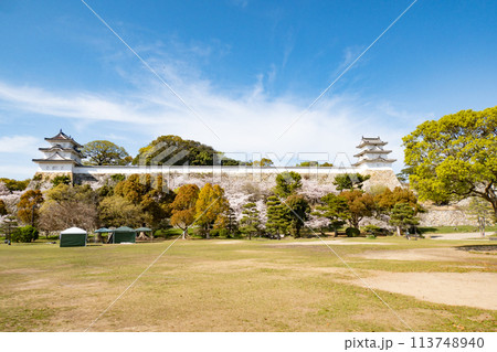 兵庫県明石市・桜が満開の明石城の櫓 113748940