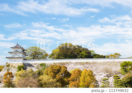 兵庫県明石市・桜が満開の明石城の櫓 113749032