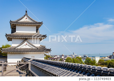 兵庫県明石市、明石城と明石市街 113749403