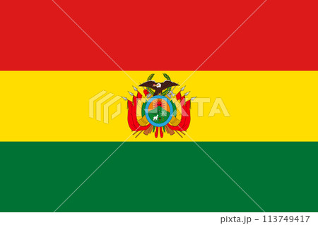 National Bolivia flag vector illustration 113749417