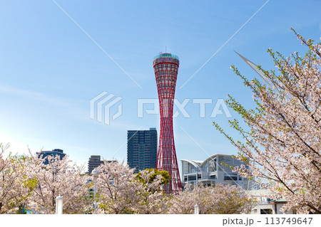 神戸メリケンパークのポートタワーと桜 113749647