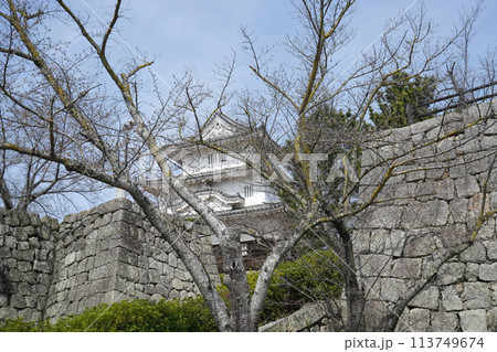 丸亀城（香川県） 113749674