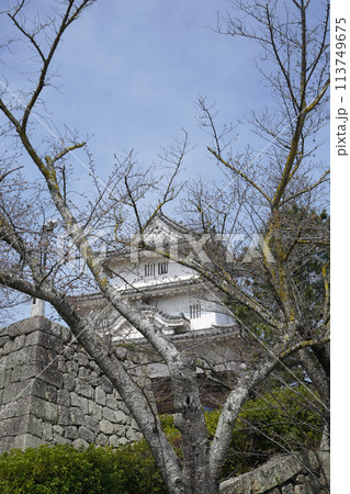 丸亀城（香川県） 113749675