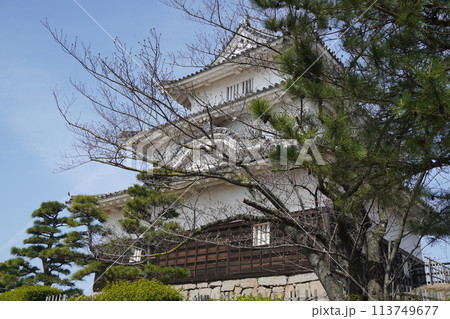 丸亀城(香川県) 丸亀城(香川県) 113749677