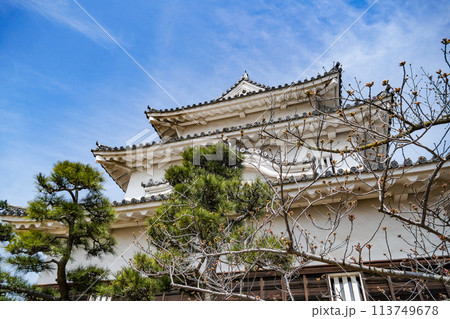 丸亀城(香川県) 丸亀城(香川県) 113749678
