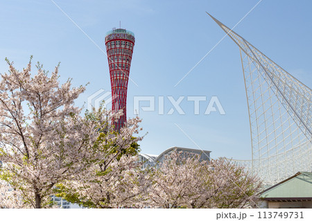 神戸メリケンパークのポートタワーと桜と海洋博物館 113749731