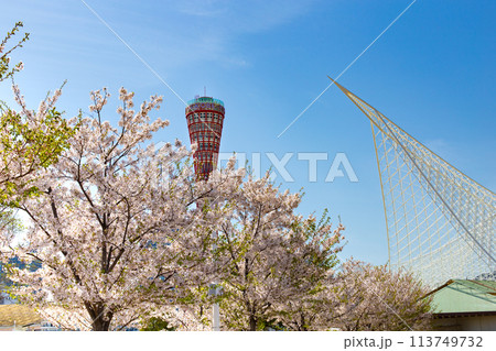 神戸メリケンパークのポートタワーと桜と海洋博物館 113749732