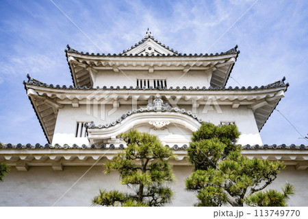 丸亀城(香川県) 丸亀城(香川県) 113749770
