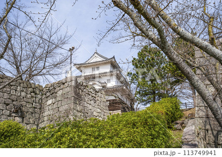 丸亀城(香川県)二の丸からの眺め 丸亀城(香川県)二の丸からの眺め 113749941